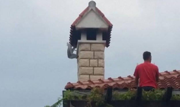 FOTO Zlarinski vatrogasci spasili ozlijeđenog galeba s dimnjaka, a veterinari ga odbili liječiti