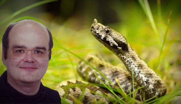 Hrvati strahuju od najezde zmija, stručnjak nabrojao najveće zablude o borbi s njima