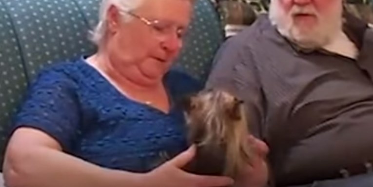 VIDEO Bakica je izgubila svog psića, a onda ju je obitelj iznenadila na najljepši način
