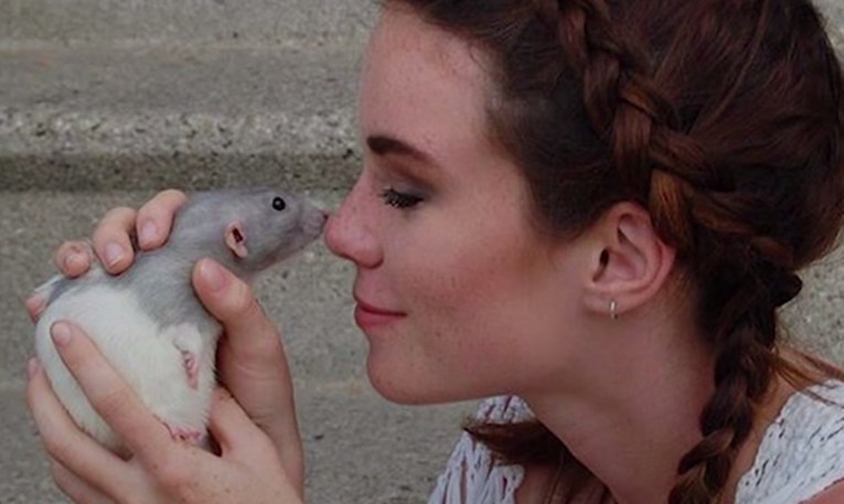 VIDEO Ova djevojka ima pet štakora i njezin će vam video srušiti sve predrasude o ovim slatkim glodavcima
