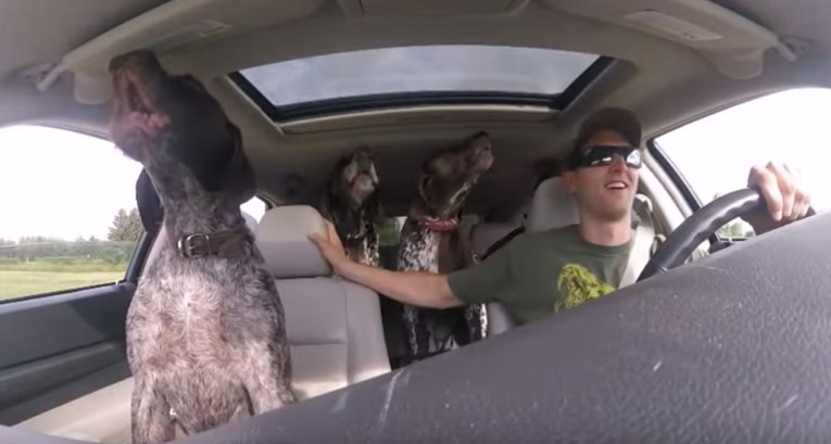 VIDEO Ovi su psi apsolutno poludjeli kada su shvatili gdje idu i to je preslatko
