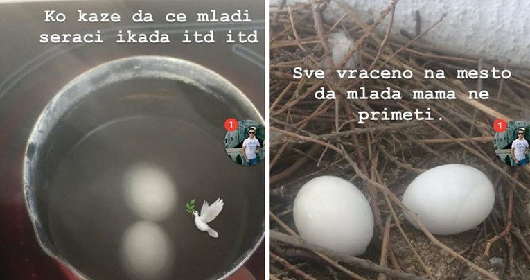 Srpski gitarist skuhao je jaja golubice i time se pohvalio na Instagramu pa ga izbacili iz benda