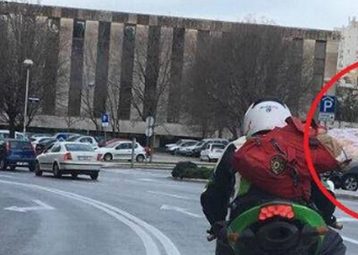 "Žuri na ručak": Splitski motorist s janjetom u ruksaku postao hit