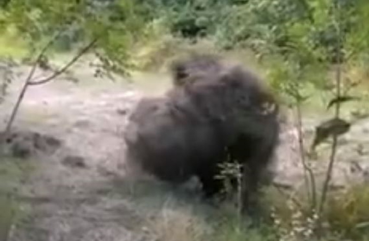 Snimka iz Zagore ostavit će vas bez daha kad vidite što se na njoj zaista događa