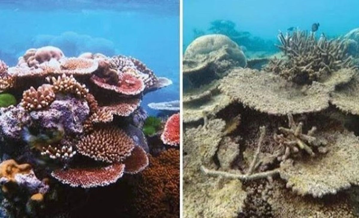 Najvažniji "10 year challenge": Koliko se naš svijet promijenio od 2009.