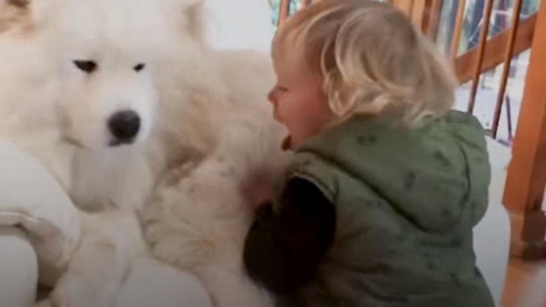VIDEO Maleni dječak i njegov pas podsjetit će vas zašto je život lijep