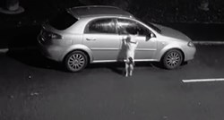Snimka slama srca: Ostavio psa uz cestu, on se pokušavao vratiti u auto