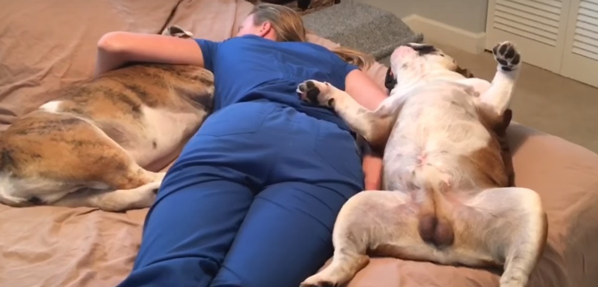 Medicinska sestra srušila se od umora, a njezin muž snimio je najslađi prizor