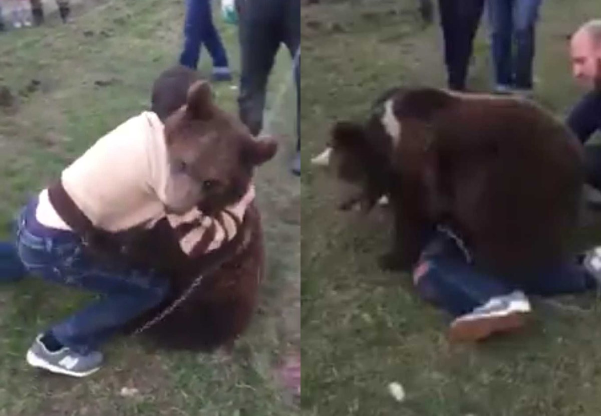 VIDEO Khabibov otac objavio snimku borbe dječaka i medvjeda