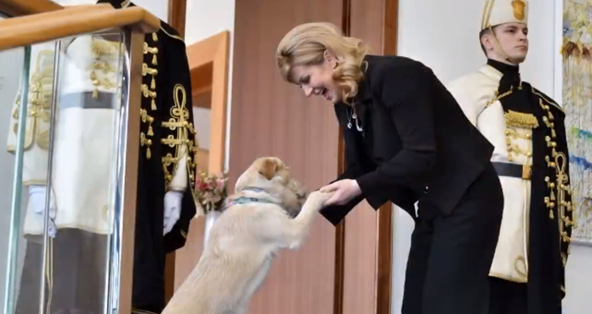 Kolindina ljubimica Kika jučer je proslavila svoj prvi rođendan