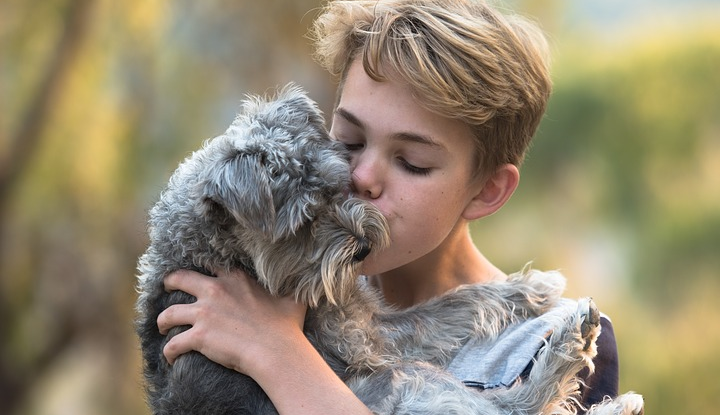 Video u kojem je prikazana životinjska ljubav: "Ovako izgleda raj"