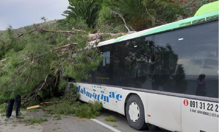FOTO Stablo palo na autobus na Jadranskoj magistrali, dio ceste zatvoren