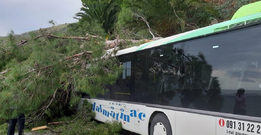 FOTO Stablo palo na autobus na Jadranskoj magistrali, dio ceste zatvoren