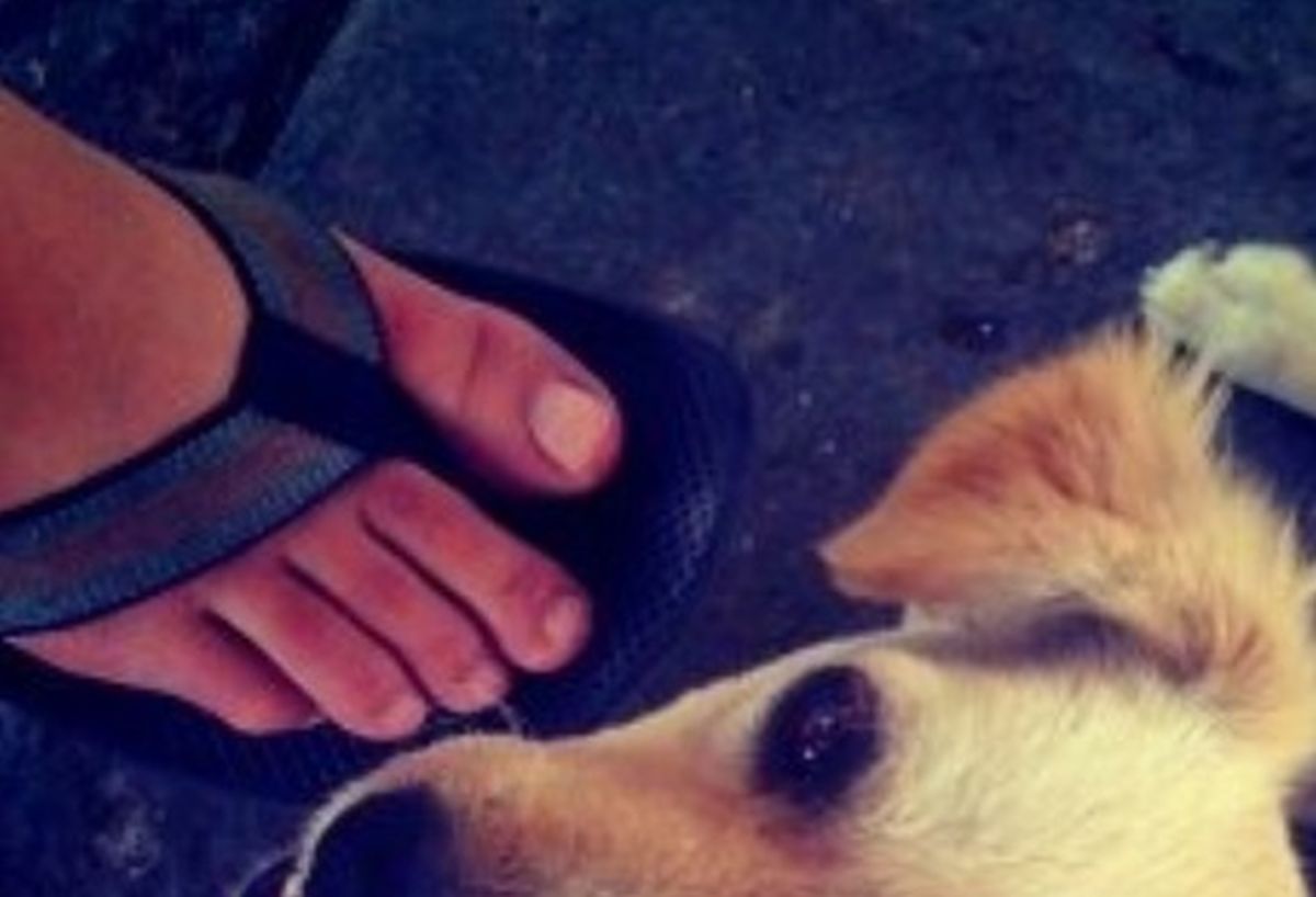 Ovo je prva fotka ikad objavljena na Instagramu: "Bio bih se više potrudio..."