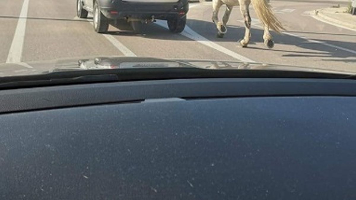 Prizor na cesti ostavio Kaštelane u čudu: "Jesi zvao policiju?"