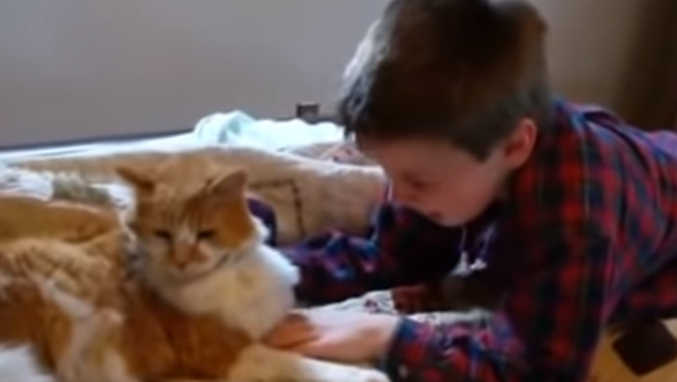 Mislio je da ga više nikada neće vidjeti: Ponovni susret dječaka i mačka