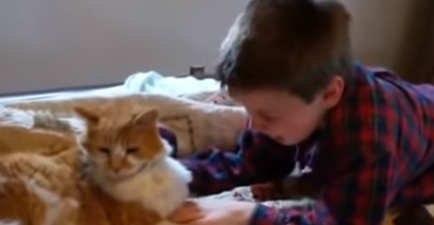 Mislio je da ga više nikada neće vidjeti: Ponovni susret dječaka i mačka