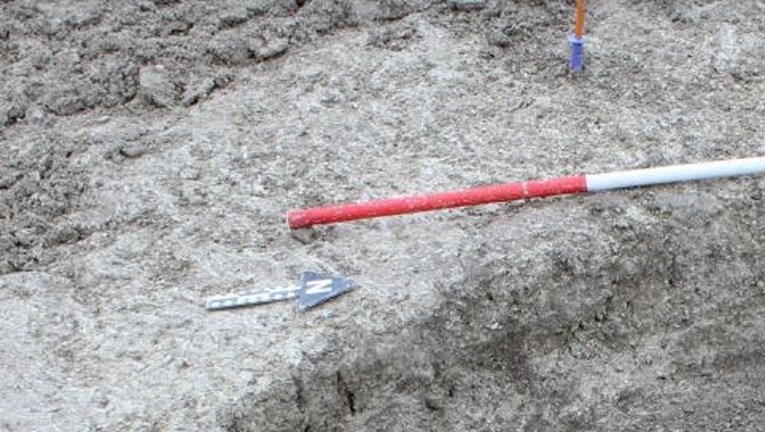 Radnici kopali za nove vodovodne cijevi pa pronašli nešto jezivo