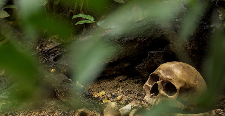 U šumi u Istri pronađen ljudski kostur