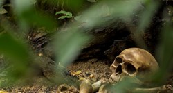U šumi u Istri pronađen ljudski kostur