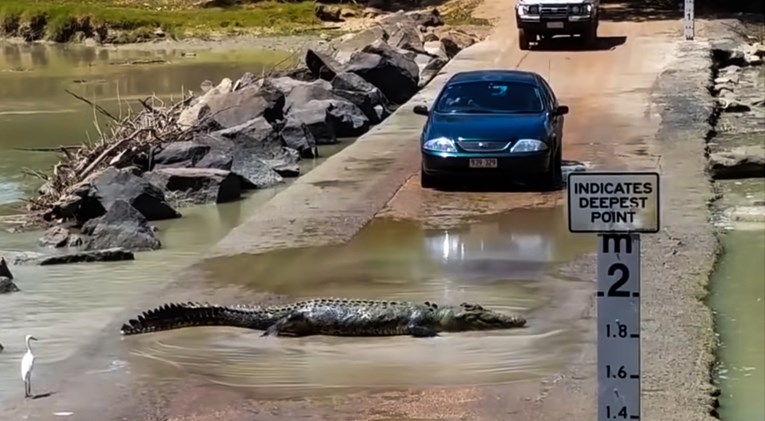 Pakao u Australiji: Vrućine, poplave, krokodili, zmije. Javila nam se Hrvatica