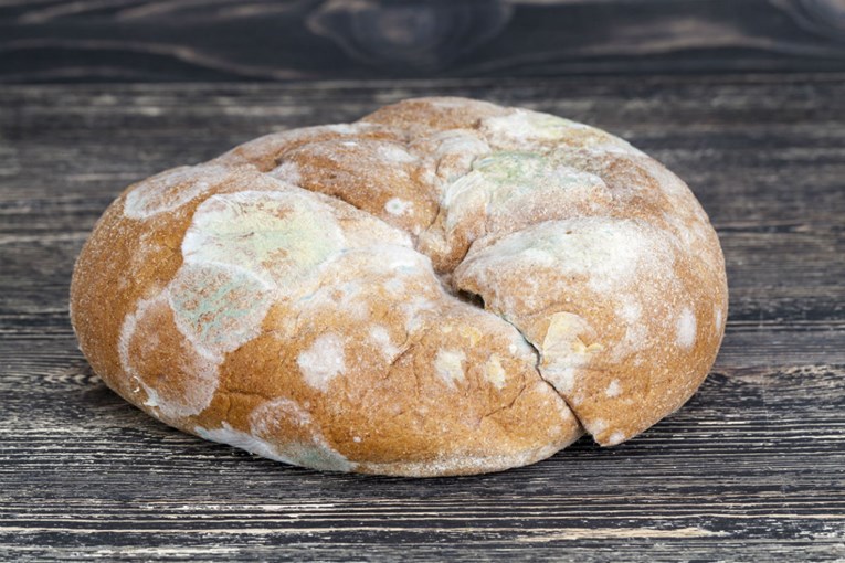 Izbjegnite trovanje hranom: Uvijek bacite stari, pljesnivi kruh