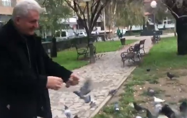 VIDEO Todorić jutro nakon izlaska iz Remetinca hranio golubove u parku