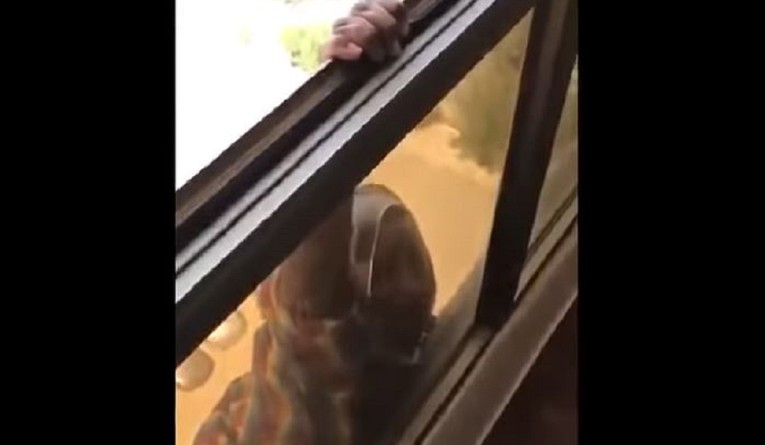 VIDEO Nije joj htjela pomoći: Snimala ženu kako visi i pada sa sedmog kata