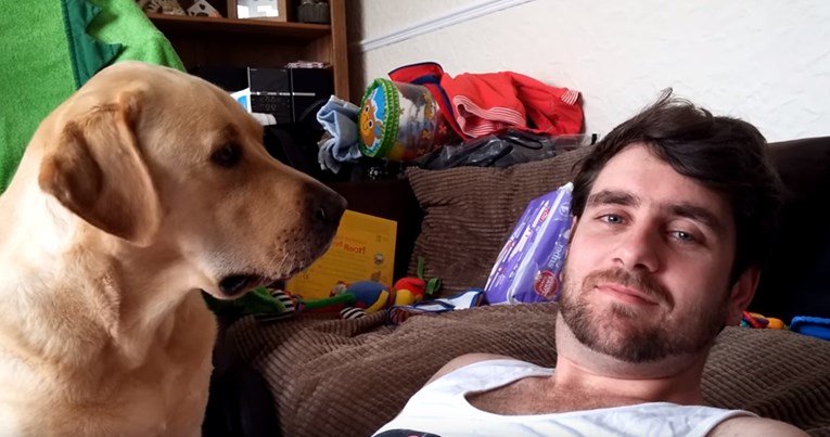 VIDEO Evo što se dogodi ako ignorirate labradora