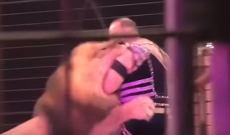VIDEO Cirkuski lav usred nastupa napao trenera, publika počela vrištati