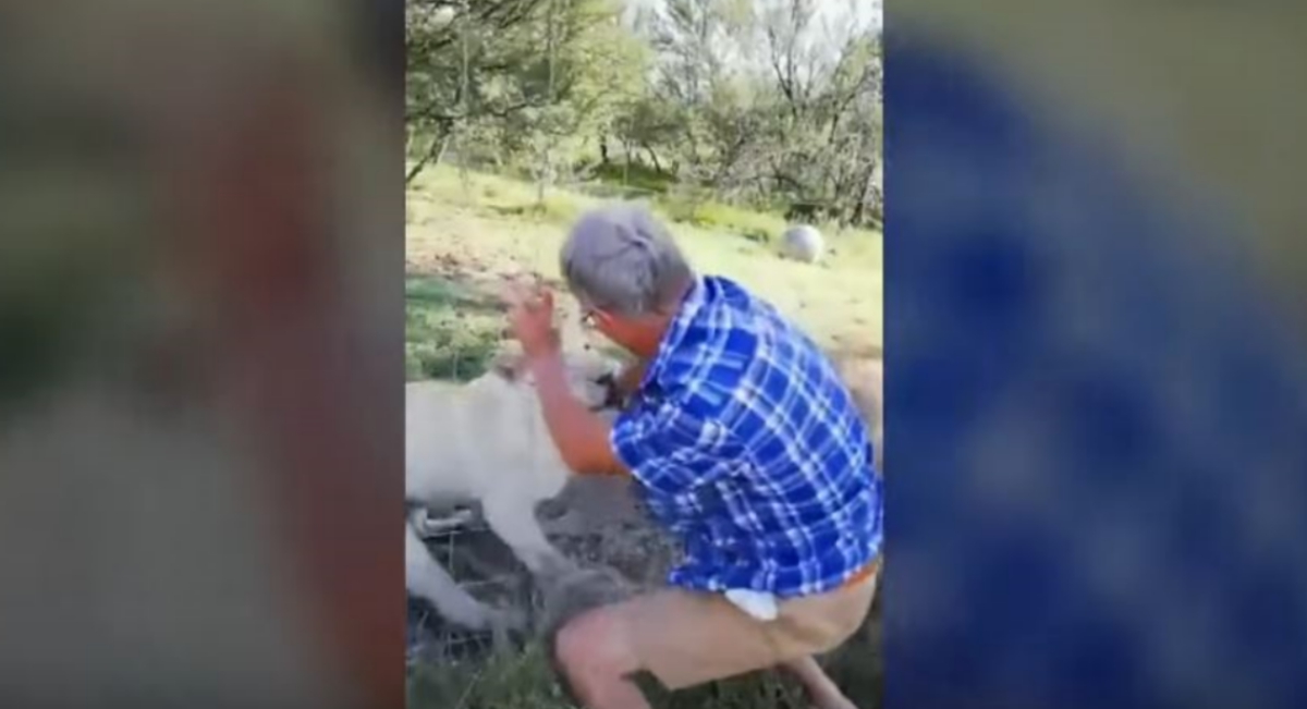 VIDEO Muškarac mazio lavicu, ona ga odmah ščepala