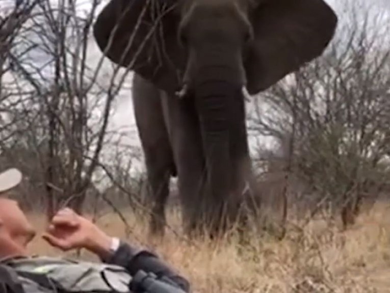 Ležao u travi pa snimio nevjerojatno blizak susret sa slonom koji je prolazio