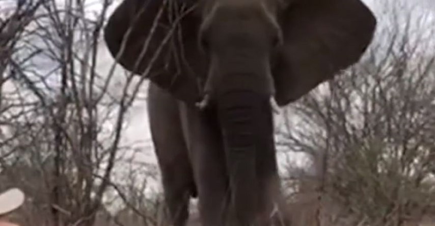Ležao u travi pa snimio nevjerojatno blizak susret sa slonom koji je prolazio
