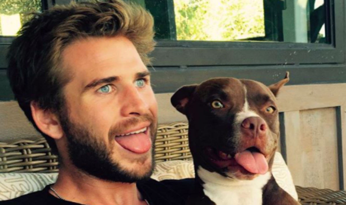 Iako je postao vegan, Liam Hemsworth nije izgubio mišiće