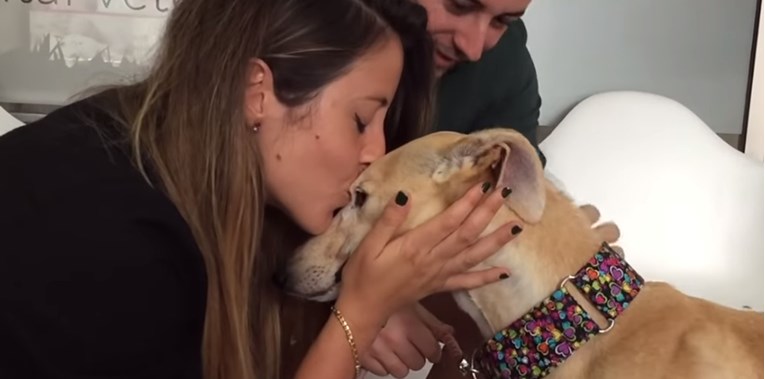 Ovaj je pas prvi put u životu primio poljubac i to izgleda predivno