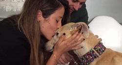 Ovaj je pas prvi puta u životu primio poljubac i to izgleda predivno