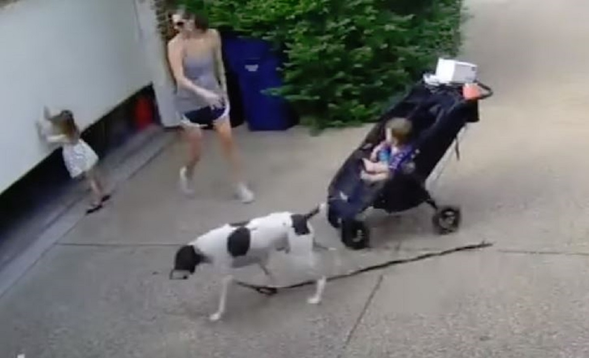 Mama curici nakratko okrenula leđa pa se šokirala kad je vidjela što se dogodilo
