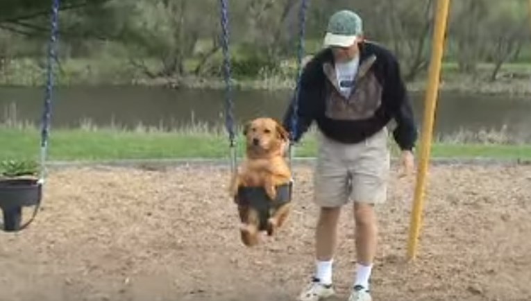VIDEO Ova je kujica pronašla čudan način za zabavu, ona obožava ljuljanje