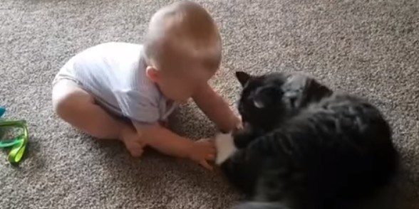 VIDEO Kada je beba vidjela što mačka radi, pokušala je učiniti istu stvar