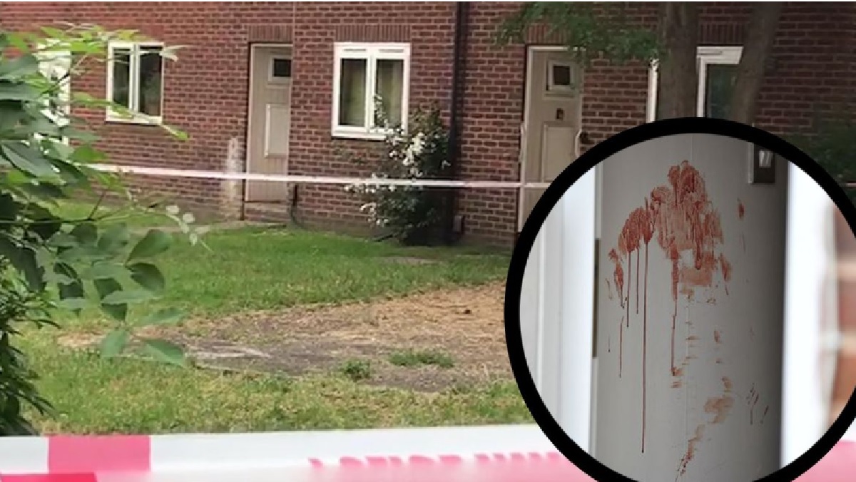 VIDEO Potjera u Londonu: Muškarac izbo ženu i jednogodišnje dijete