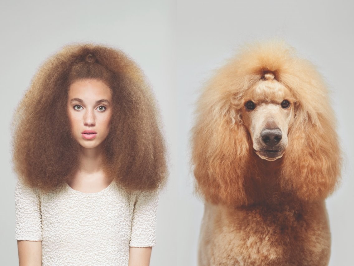 Evo kako bi vaš život izgledao da postanete pas samo na jedan dan