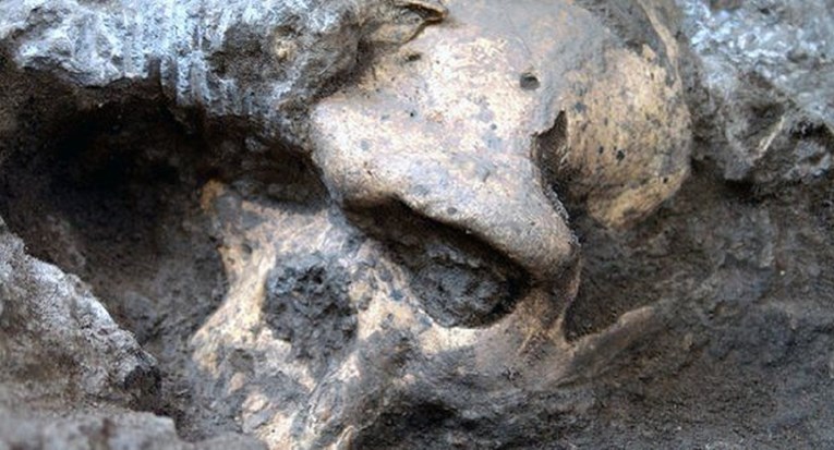 Čistio dvorište u Vojvodini pa našao dva kostura