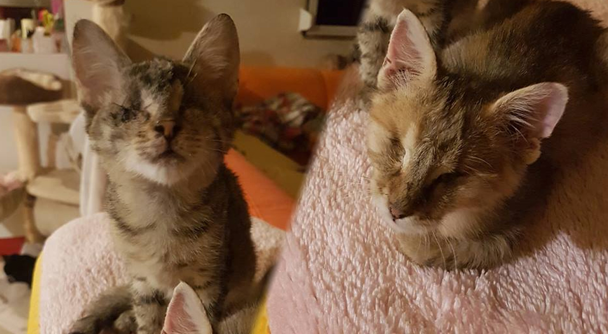 Ove dvije seke nitko ne želi jer su slijepe