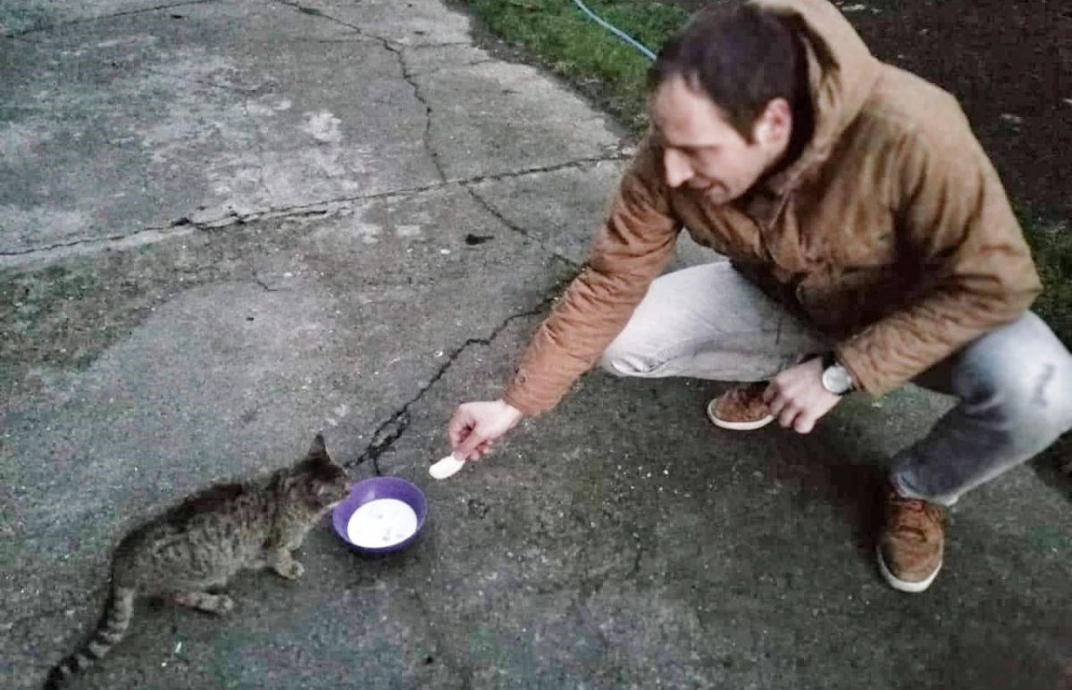 Tamburaša rastužila sudbina napuštenih mačaka pa ih spasio od gladi