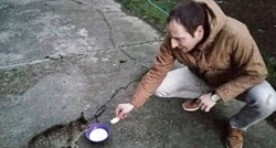 Tamburaša rastužila sudbina napuštenih mačaka pa ih spasio od gladi