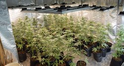 U Zadru otkriven laboratorij za uzgoj marihuane. Pogledajte kako izgleda