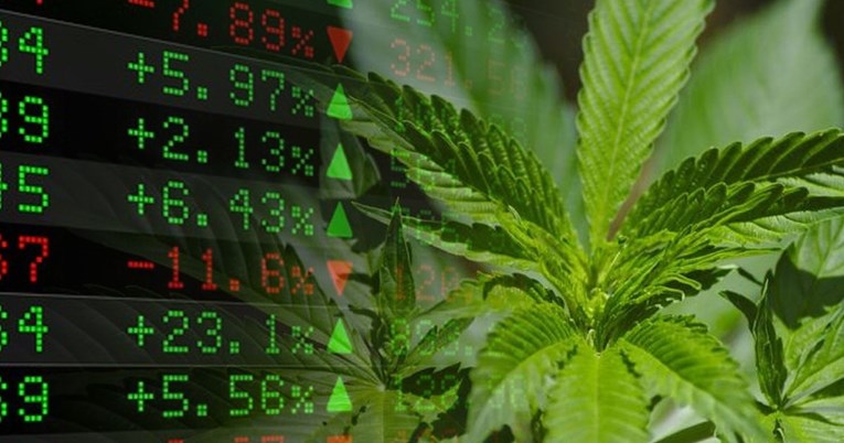 Eksplozivan rast cijena dionica tvrtki koje se bave proizvodnjom marihuane