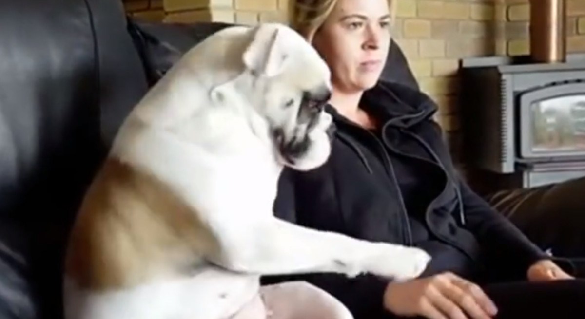 VIDEO Smiješni pas ne dopušta vlasnici da ga prestane maziti