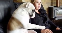 VIDEO Smiješni pas ne dopušta vlasnici da ga prestane maziti