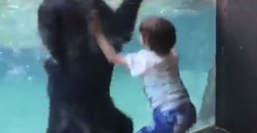 Dječak skakao od sreće kad je vidio medvjeda, ljudi ne mogu vjerovati što je on napravio